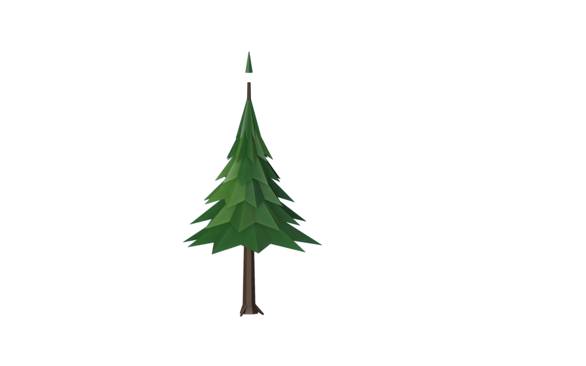 A pine with its origin at the trunk's foot and its height marked.