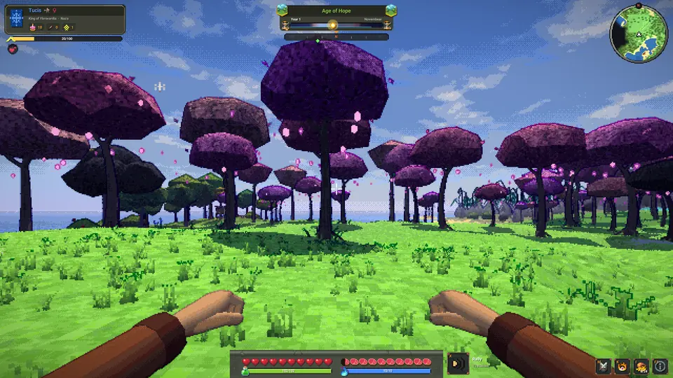 Pink and purple round-crowned trees.