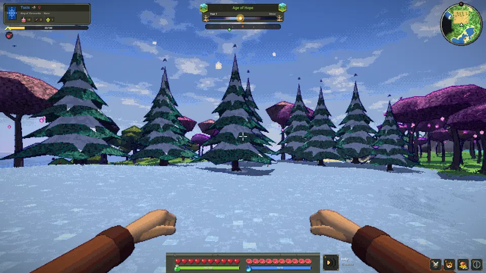 Snowy pines on frozen ground.