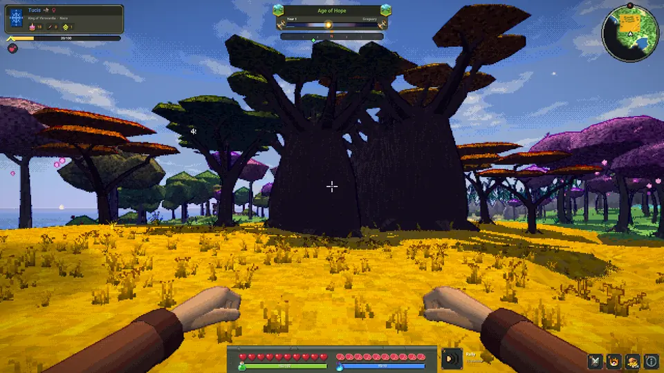 A baobab on golden grass.